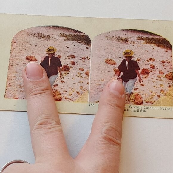 ANTIQUE STEREOGRAPH Card DOUBLE SIDED Bamboo as it Grows, Manilla/Peeheai COLOUR - Picture 5 of 5